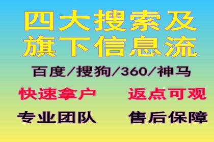 搜索引擎营销（SEM）的未来趋势与案例分析